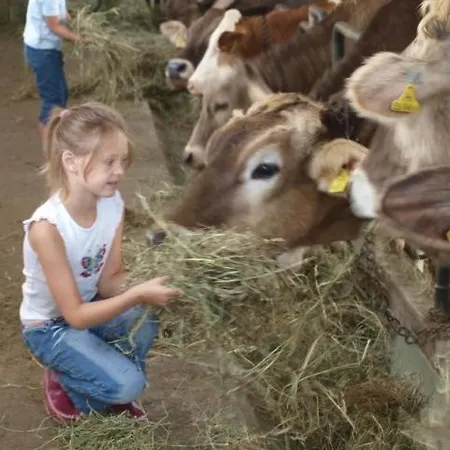 Alloggio per agriturismo Hochfelner-prutti - Stockerhof