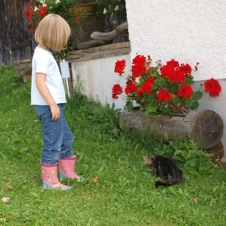 Hochfelner-prutti - Stockerhof Alloggio per agriturismo *