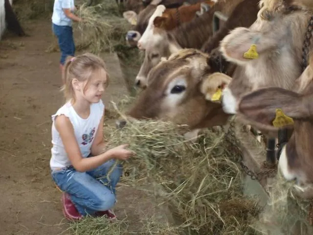 Çiftlik konaklama Hochfelner-prutti - Stockerhof