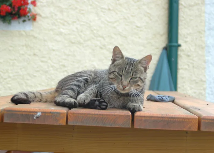 Hochfelner-prutti - Stockerhof *