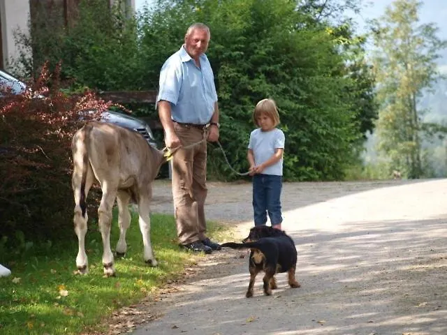 Hochfelner-prutti - Stockerhof Bauernhof *